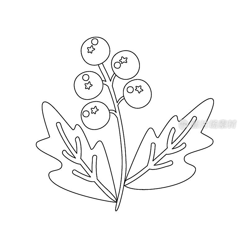 Holly winter Christmas berries on a branch coloring book for kids. Vector festive linear illustration.